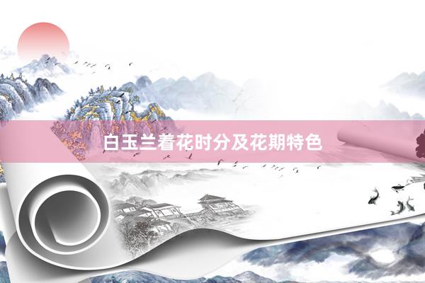 白玉兰着花时分及花期特色