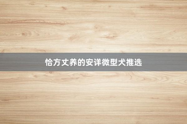 恰方丈养的安详微型犬推选