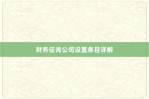 财务征询公司设置条目详解